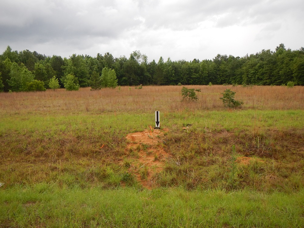 Orangeburg Survey Monument