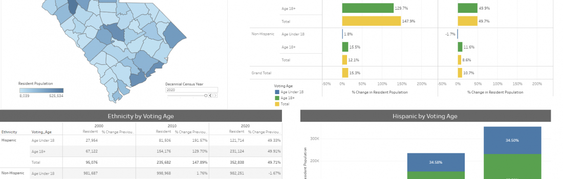 county_ethnicity_age_dashboard