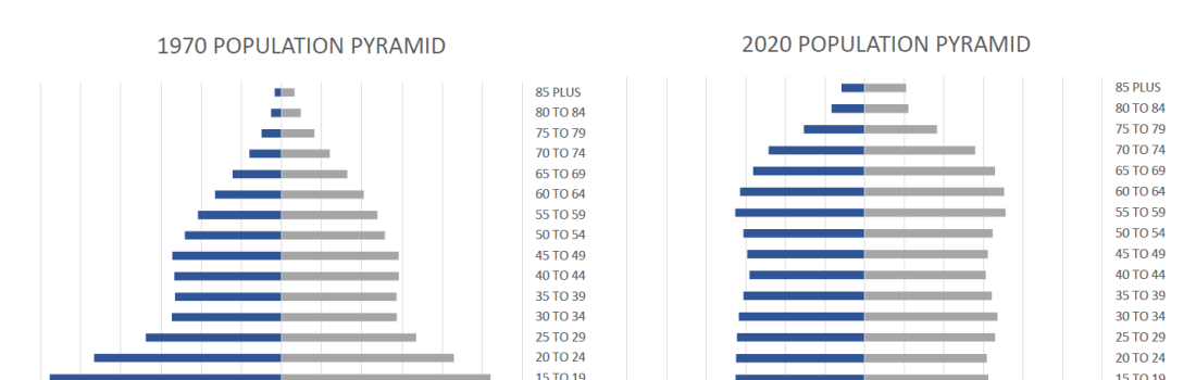 population pyramids