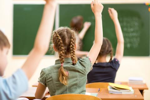 Students raising their hands in class